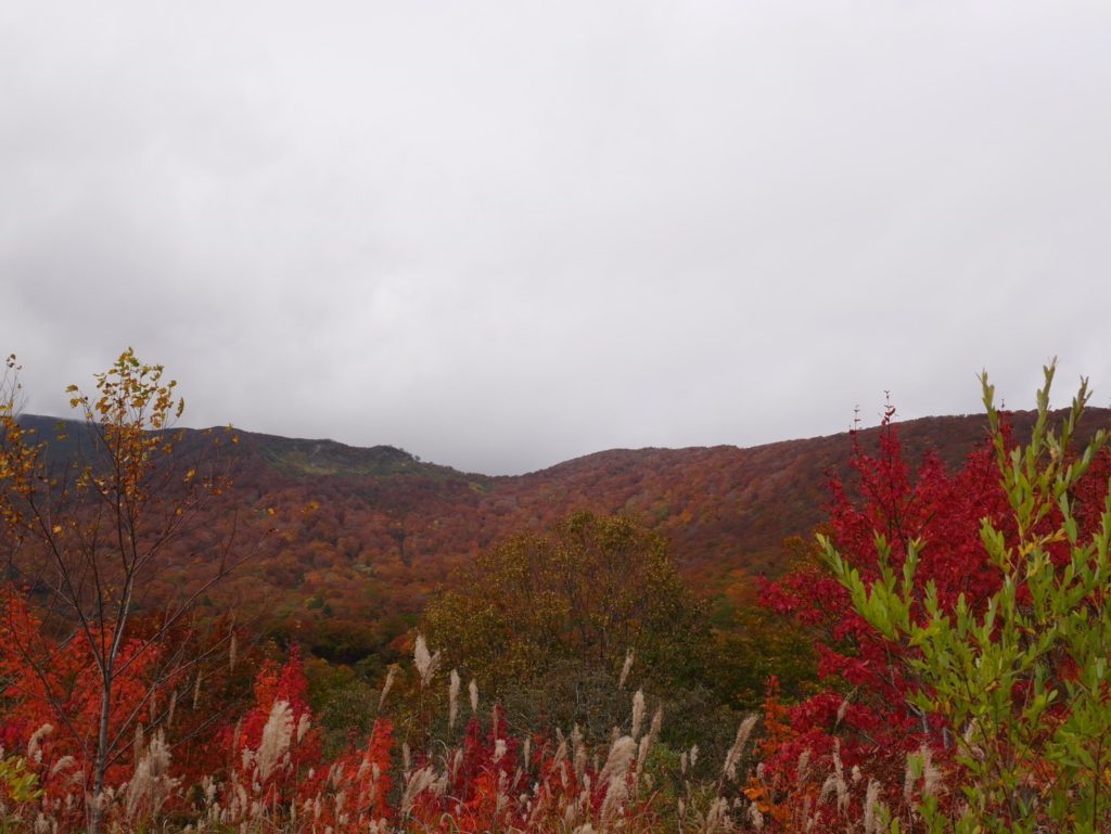 早池峰山・栗駒山　眩しい光が降り注げられていなかったので、薄暗いベールに包まれた紅葉最盛期の二名山